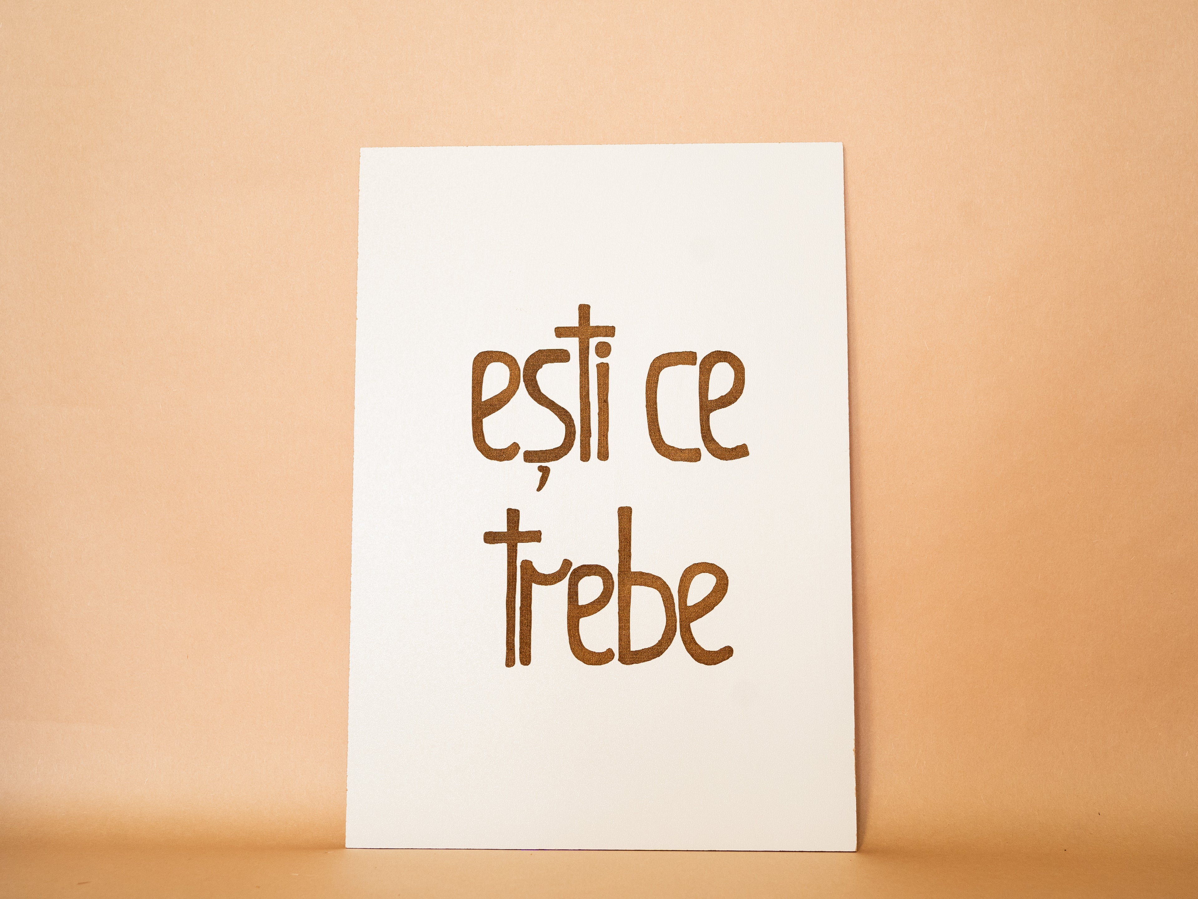 "Esti ce trebe"